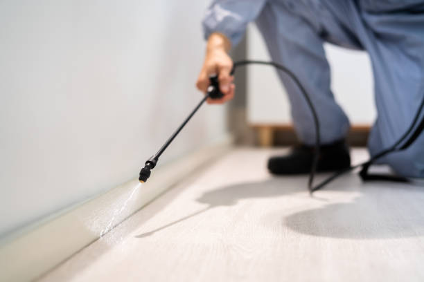Licensed Pest Control service in Willow Oak, FL - Show Me Pest Control