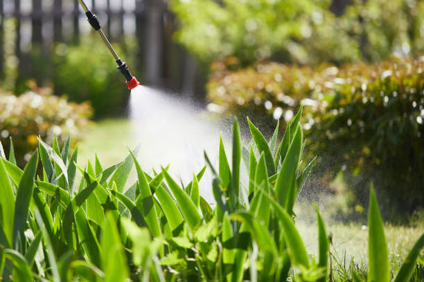 24/7 Emergency Mosquito Control experts in Willow Oak, FL