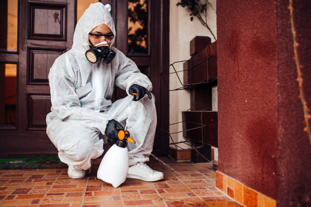 Reliable Mosquito Control contractor in Willow Oak, FL by Show Me Pest Control